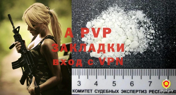 PSILOCYBIN Ладушкин