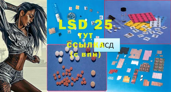 PSILOCYBIN Ладушкин