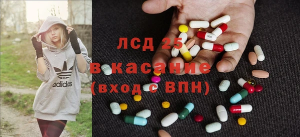 PSILOCYBIN Ладушкин