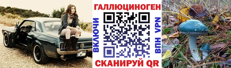 Купить закладки  Шадринск  Псилоцибиновые грибы Cubensis 