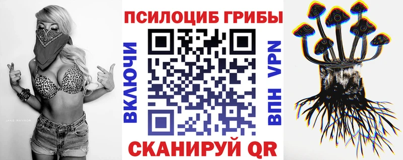 Галлюциногенные грибы Psilocybine cubensis Шадринск